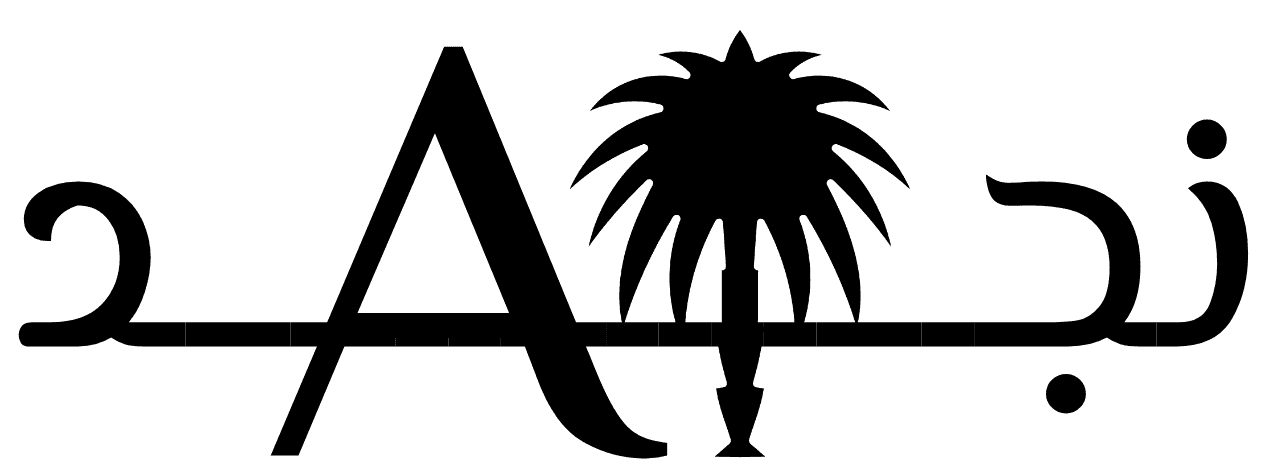 NajdAI Logo